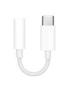 Apple MU7E2ZM/A USB-C audio adapter - 3.5 mm mini jack - white