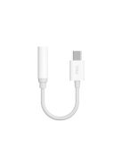 Dudao audio adapter headphone adapter from USB Type C to mini jack 3.5 mm white (L16CPro white)