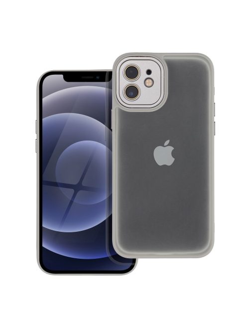 VARIETE Case for IPHONE 12 steel