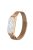 For Xiaomi Mi Band 7 Milanese Mesh Smart Watch Band Replacement Metal Magnetic Wrist Strap - Bronze Gold