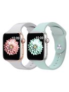 2Pcs Size M / L AW Silicone Strap for Apple Watch Series 10 42mm / 9 8 7 41mm / SE (2023) SE (2022) SE 6 5 4 40mm / 3 2 1 38mm Adjustable Watch Band - Light Grey+Baby Blue