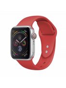 Dual Pin Buckle Silicone Watch Strap for Apple Watch Series 10 42mm / 9 8 7 41mm / SE (2023) SE (2022) SE 6 5 4 40mm / 3 2 1 38mm - Red