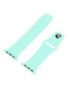 For Apple Watch SE (2022) 44mm / SE 44mm / 6 / 5 / 4 44mm Silicone Watch Strap + Full Cover Hard PC Watch Case with Tempered Glass Screen Protector - Cyan