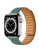 For Apple Watch Series 10 42mm / 9 8 7 41mm / 6 5 4 SE SE (2022) SE (2023) 40mm / 3 2 1 38mm Dual Color Silicone Watch Strap Magnetic Adjustable Wrist Band - Pine Needle Green