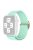 For Apple Watch Series 10 42mm / 9 8 7 41mm / 6 5 4 SE SE (2022) SE (2023) 40mm / 3 2 1 38mm Nylon Braided Watch Band Adjustable Wrist Strap Replacement - Mint Green