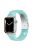 For Apple Watch Series 10 42mm / 9 8 7 41mm / 6 5 4 SE SE (2022) SE (2023) 40mm / 3 2 1 38mm Resin Band Stainless Steel Buckle Replacement Watch Strap - Jade Green