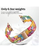 For Apple Watch Series 10 42mm / 9 8 7 41mm / 6 5 4 SE SE (2022) SE (2023) 40mm / 3 2 1 38mm Resin Smart Watch Strap D Shape Design Wristband with Stainless Steel Buckle - Rainbow