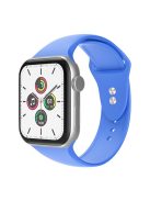 For Apple Watch Series 10 42mm / 9 8 7 41mm / 6 5 4 SE SE (2022) SE (2023) 40mm / 3 2 1 38mm Smart Watch Silicone Strap Watchband Replacement with Double Buttons Buckle, Size L - Baby Blue