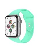 For Apple Watch Series 10 42mm / 9 8 7 41mm / 6 5 4 SE SE (2022) SE (2023) 40mm / 3 2 1 38mm Smart Watch Silicone Strap Watchband Replacement with Double Buttons Buckle, Size L - Mint Green