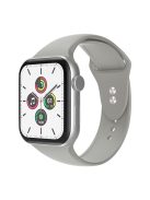 For Apple Watch Series 10 42mm / 9 8 7 41mm / 6 5 4 SE SE (2022) SE (2023) 40mm / 3 2 1 38mm Smart Watch Silicone Strap Watchband Replacement with Double Buttons Buckle, Size L - Rock Grey