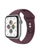 For Apple Watch Series 10 42mm / 9 8 7 41mm / 6 5 4 SE SE (2022) SE (2023) 40mm / 3 2 1 38mm Smart Watch Silicone Strap Watchband Replacement with Double Buttons Buckle, Size L - Wine Red