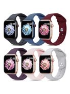 For Apple Watch Series 10 46mm / Ultra 2 Ultra 49mm /  Series 9 8 7 45mm / 6 5 4 SE (2023) SE (2022) SE 44mm / 3 2 1 42mm 6pcs AW Silicone Band, Size S / M - Black+Blue+Wine Red+Violet+Pink+Light Grey