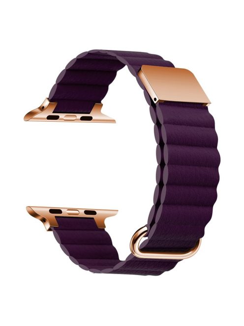 For Apple Watch Series 10 46mm / Ultra 2 Ultra 49mm /  Series 9 8 7 45mm / 6 5 4 SE (2023) SE (2022) SE 44mm / 3 2 1 42mm Magnetic Watchband Leather Watch Strap - Rose Gold / Crimson Cherry