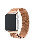 Milanese Semi-Circular Tail Watch Band for Apple Watch Series 10 42mm / 9 8 7 41mm / SE (2023) SE (2022) SE 6 5 4 40mm / 3 2 1 38mm, Adjustable Magnetic Stainless Steel Wristband - Champagne Gold