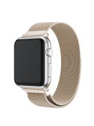 Milanese Semi-Circular Tail Watch Band for Apple Watch Series 10 42mm / 9 8 7 41mm / SE (2023) SE (2022) SE 6 5 4 40mm / 3 2 1 38mm, Adjustable Magnetic Stainless Steel Wristband - Champagne Silver