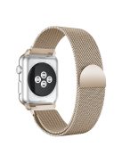 Milanese Semi-Circular Tail Watch Band for Apple Watch Series 10 42mm / 9 8 7 41mm / SE (2023) SE (2022) SE 6 5 4 40mm / 3 2 1 38mm, Adjustable Magnetic Stainless Steel Wristband - Champagne Silver