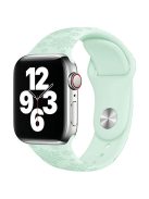 Silicone Strap for Apple Watch Series 10 42mm  /  9 8 7 41mm  /  SE (2023) SE (2022) SE 6 5 4 40mm  /  3 2 1 38mm - Snowflake Light Green