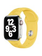 Silicone Strap for Apple Watch Series 10 42mm  /  9 8 7 41mm  /  SE (2023) SE (2022) SE 6 5 4 40mm  /  3 2 1 38mm - Sunflower Ginger