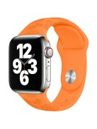 Silicone Strap for Apple Watch Series 10 42mm  /  9 8 7 41mm  /  SE (2023) SE (2022) SE 6 5 4 40mm  /  3 2 1 38mm - Sunflower Orange