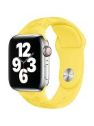 Silicone Strap for Apple Watch Series 10 42mm  /  9 8 7 41mm  /  SE (2023) SE (2022) SE 6 5 4 40mm  /  3 2 1 38mm - Sunflower Yellow