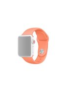 Silicone Wrist Strap Band for Apple Watch Series 10 42mm / 9 8 7 41mm / SE (2023) SE (2022) SE 6 5 4 40mm / 3 2 1 38mm (Lengthen Length), Size: M / L - Style J