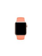 Silicone Wrist Strap Band for Apple Watch Series 10 42mm / 9 8 7 41mm / SE (2023) SE (2022) SE 6 5 4 40mm / 3 2 1 38mm (Lengthen Length), Size: M / L - Style J