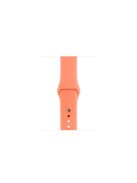 Silicone Wrist Strap Band for Apple Watch Series 10 42mm / 9 8 7 41mm / SE (2023) SE (2022) SE 6 5 4 40mm / 3 2 1 38mm (Lengthen Length), Size: M / L - Style J