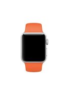 Silicone Wrist Strap Band for Apple Watch Series 10 42mm / 9 8 7 41mm / SE (2023) SE (2022) SE 6 5 4 40mm / 3 2 1 38mm (Lengthen Length), Size: M / L - Style L