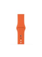 Silicone Wrist Strap Band for Apple Watch Series 10 42mm / 9 8 7 41mm / SE (2023) SE (2022) SE 6 5 4 40mm / 3 2 1 38mm (Lengthen Length), Size: M / L - Style L