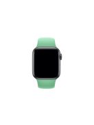 Silicone Wrist Strap Replacement for Apple Watch Series 10 42mm / 9 8 7 41mm / SE (2023) SE (2022) SE 6 5 4 40mm / 3 2 1 38mm (Standard Length) - Style O