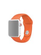 Single Color Silicone Smart Watch Band for Apple Watch Series 10 42mm / 9 8 7 41mm / SE (2023) SE (2022) SE 6 5 4 40mm / 3 2 1 38mm, Size: S / M - Orange