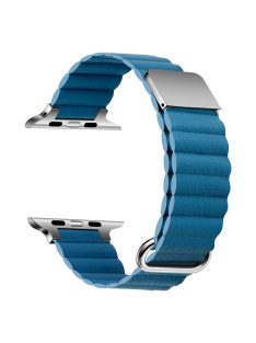   Watch Strap for Apple Watch Series 10 42mm / 9 8 7 41mm / SE (2023) SE (2022) SE 6 5 4 40mm / 3 2 1 38mm Magnetic Watchband - Silver / Blue