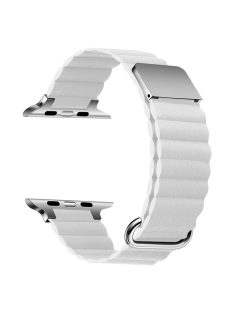   Watch Strap for Apple Watch Series 10 42mm / 9 8 7 41mm / SE (2023) SE (2022) SE 6 5 4 40mm / 3 2 1 38mm Magnetic Watchband - Silver / White